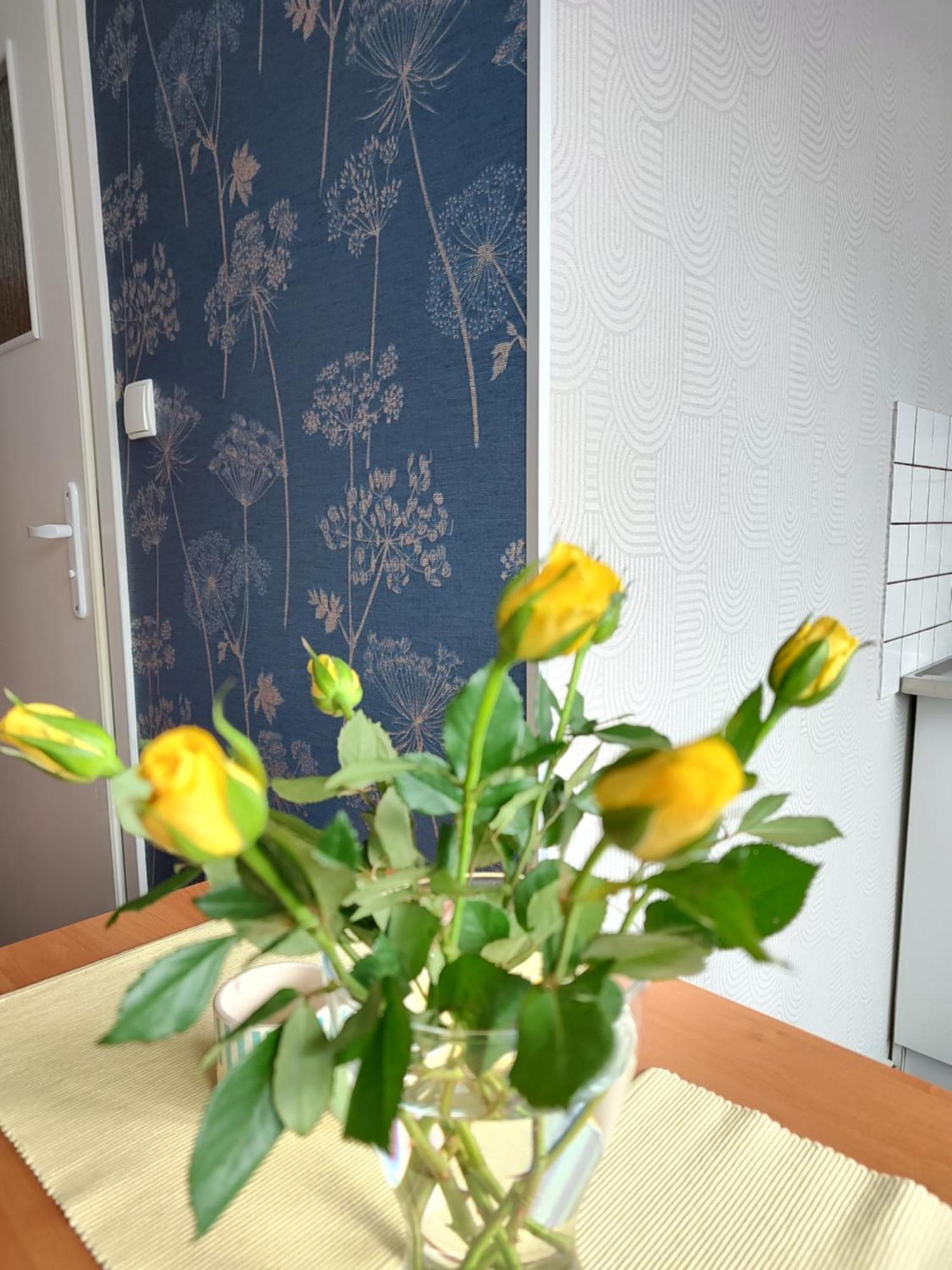 Apartamenty Hejszowina 库多瓦-兹德鲁伊 外观 照片